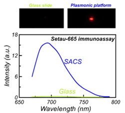 Emission spectra of SeTau-665 labeled antibody on a quartz (Glass) and self-assembled colloidal silver (SACS) surface. 