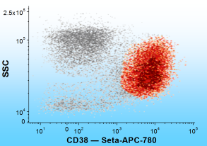 Plasma cells stained with CD38 — Seta-APC-780