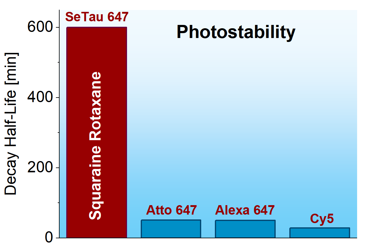 Photostability of squarain rotaxanes