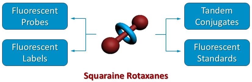 Squaraine rotaxane applications