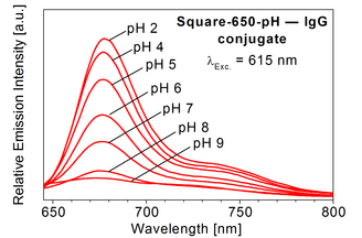 Fluorescence spectrum of Square-650-pH-Carboxy vs. pH