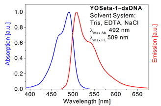 Absorption and emission spectrum of YOSeta-1 in presence of dsDNA