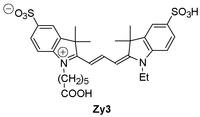 Zy3 label is a structural analog of Cy3 reactive dye 