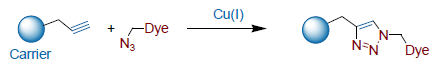 Cu-catalyzed cycloaddition